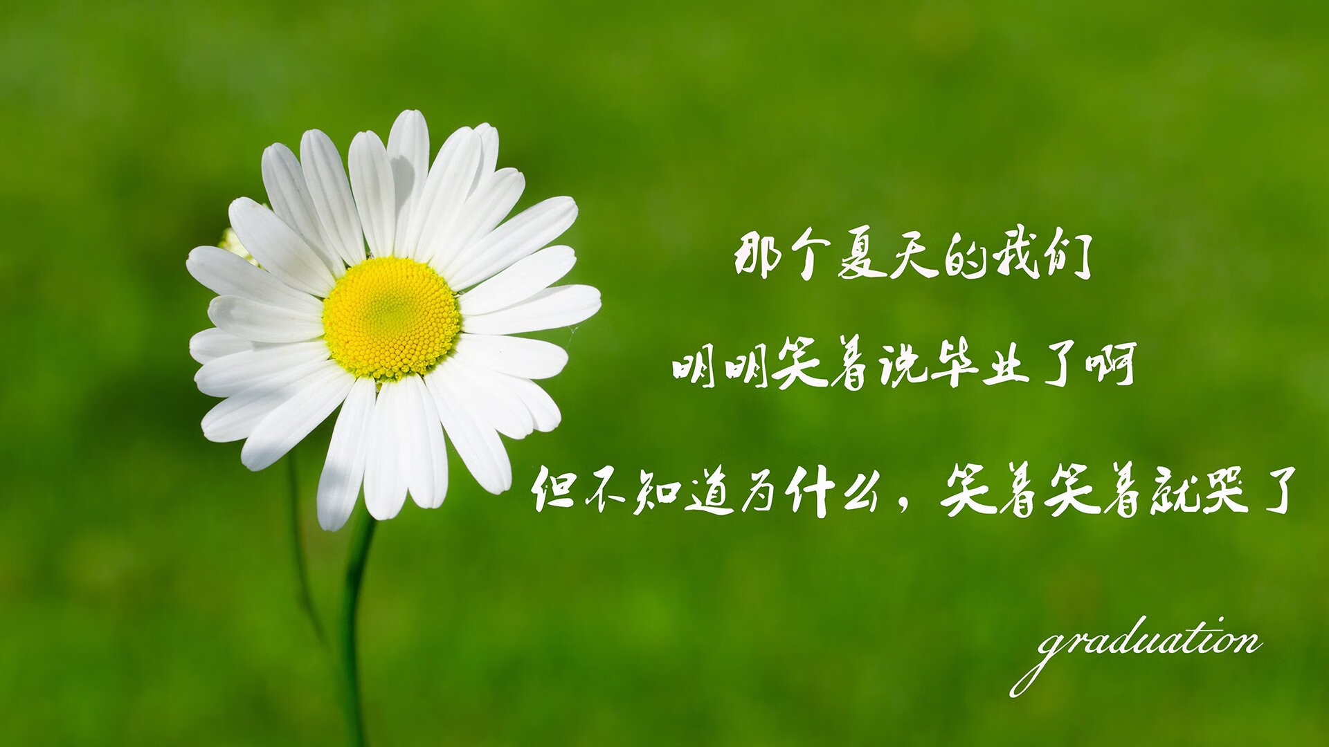 kaiyun登录入口-墨西哥女足突破重围，实力暴露无遗，美国墨西哥女足