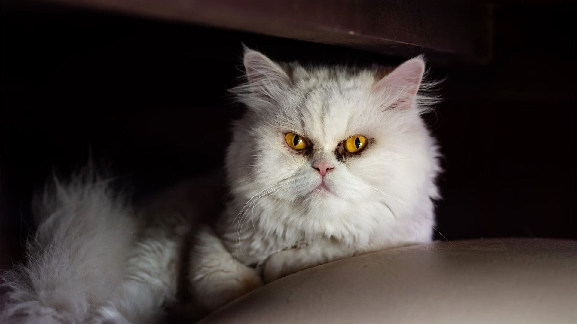 开云kaiyun-亚洲杯中国青年队惨败 球迷希望加强基础训练，中国足球亚青赛