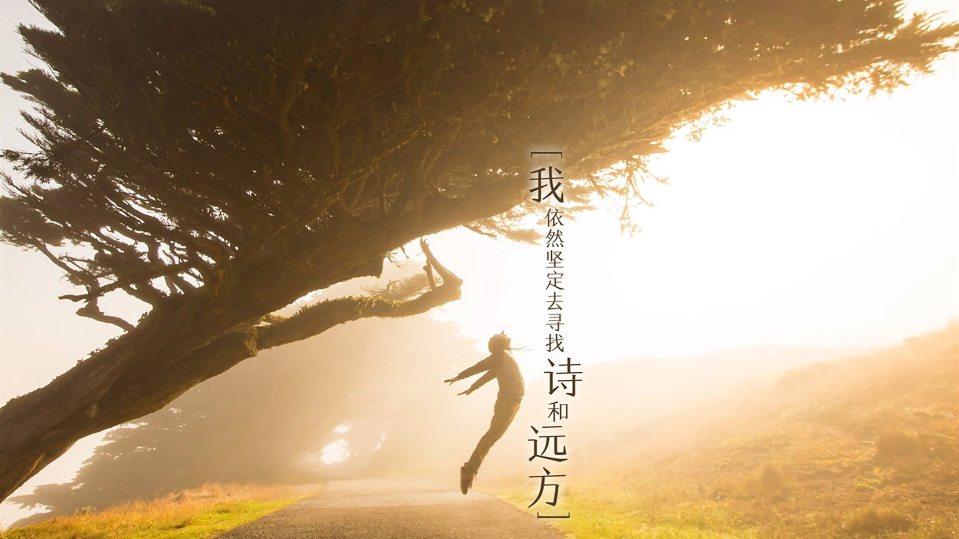 国家队缺乏针对不同风格球队的应对预案，担心球队缺乏深度