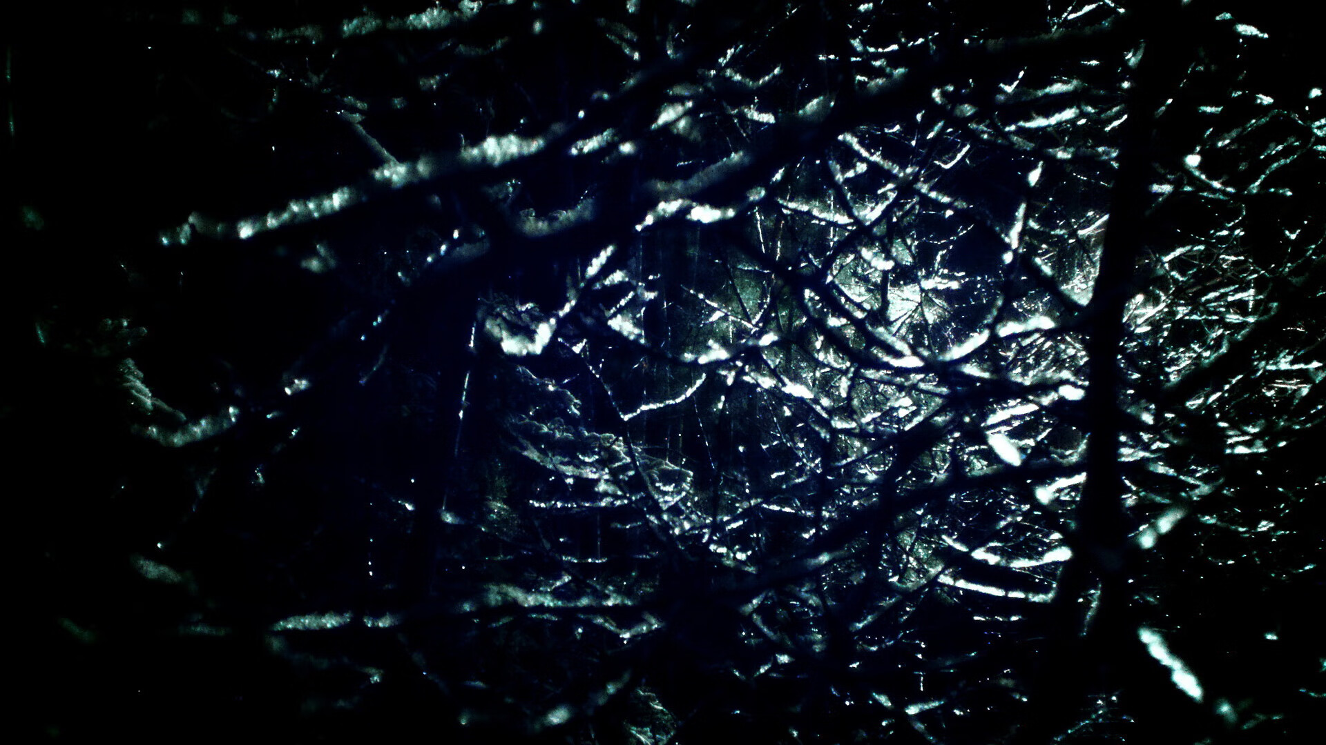 技术动作连续性评分前十选手,动作技术评价的基本内容与指标