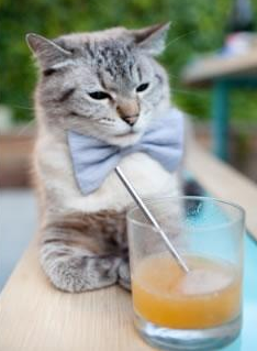 Kaiyun官方登录入口-足球青训体系改革落地 基层联赛稳步推进，2021年足球青训