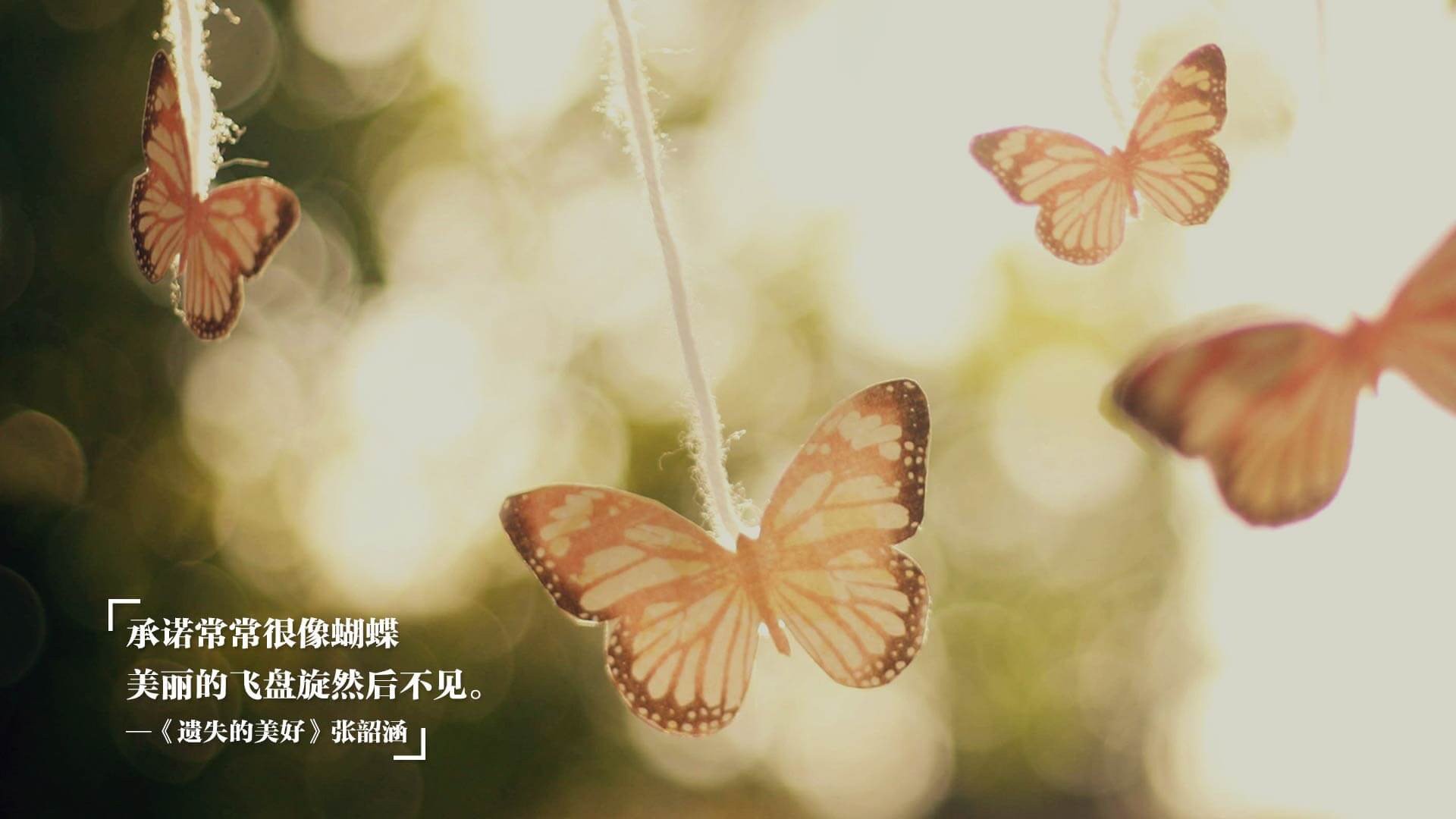 中国足球青少年技术测试鼓励自我挑战机制,中国青少年足球选拔机制