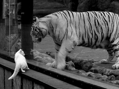 开云体育APP下载-乔治持球推进助快船打出十比零攻击波，乔治快船最新进展