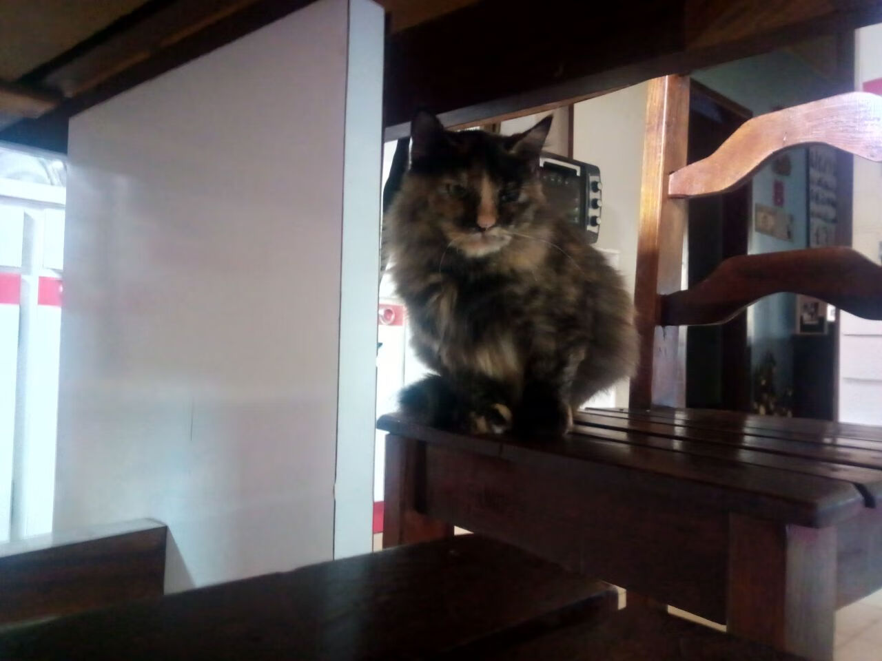 开云官网-体育用品企业发布年度创新产品线，体育用品创新创业计划书